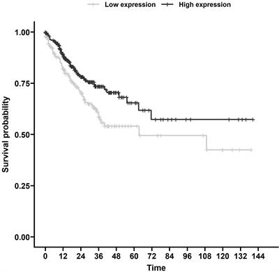 MiR-140 leads to MRE11 downregulation and ameliorates oxaliplatin treatment and therapy response in colorectal cancer patients